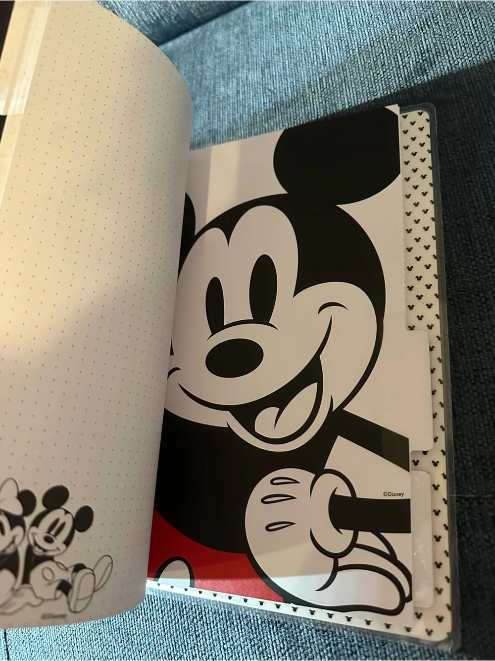 Happy Planner Classic Size Disney Minnie & Mickey Guided Journal